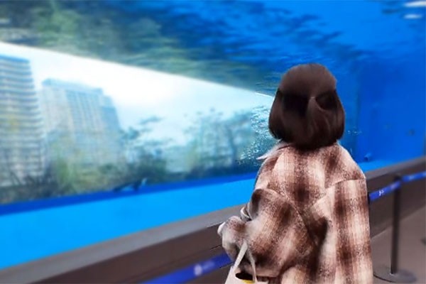 FC2-PPV-2876197 – * Limited time sale * [Appearance / creampie] * With long bonus let me take a picture